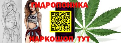альфа пвп Брянск